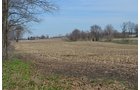 Property photo 167 - REAL ESTATE & PERSONAL PROPERTY AUCTION, 140 Acres offered in 8 Tracts or Combinations in Steuben County